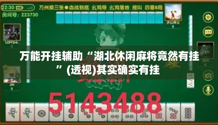 万能开挂辅助“湖北休闲麻将竟然有挂	”(透视)其实确实有挂 