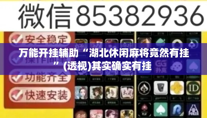 万能开挂辅助“湖北休闲麻将竟然有挂”(透视)其实确实有挂 