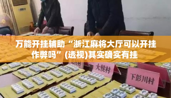 万能开挂辅助“浙江麻将大厅可以开挂作弊吗”(透视)其实确实有挂 