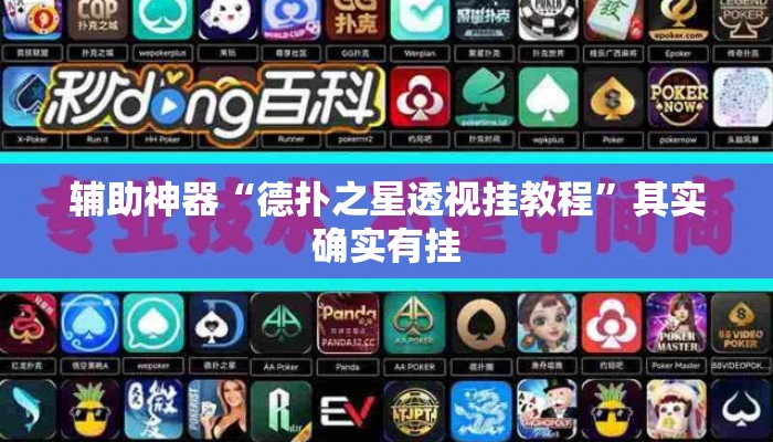 辅助神器“德扑之星透视挂教程”其实确实有挂