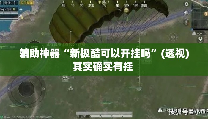 辅助神器“新极酷可以开挂吗”(透视)其实确实有挂 
