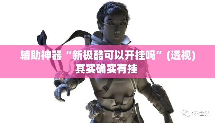 辅助神器“新极酷可以开挂吗”(透视)其实确实有挂 