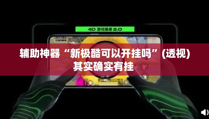辅助神器“新极酷可以开挂吗	”(透视)其实确实有挂 