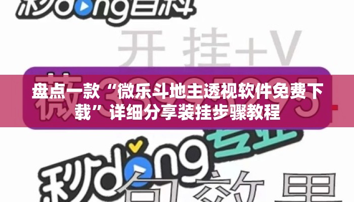 盘点一款“微乐斗地主透视软件免费下载”详细分享装挂步骤教程