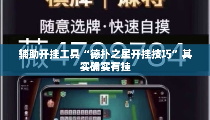 辅助开挂工具“德扑之星开挂技巧	”其实确实有挂