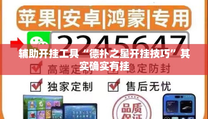 辅助开挂工具“德扑之星开挂技巧”其实确实有挂