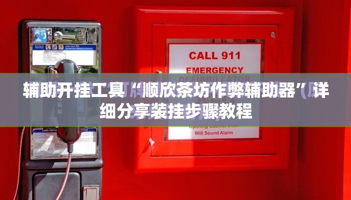 辅助开挂工具“顺欣茶坊作弊辅助器”详细分享装挂步骤教程