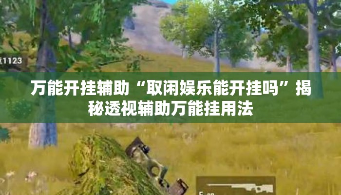 万能开挂辅助“取闲娱乐能开挂吗	”揭秘透视辅助万能挂用法