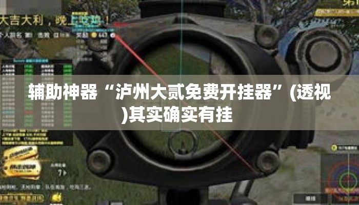 辅助神器“泸州大贰免费开挂器”(透视)其实确实有挂 