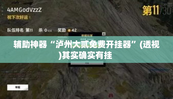 辅助神器“泸州大贰免费开挂器	”(透视)其实确实有挂 
