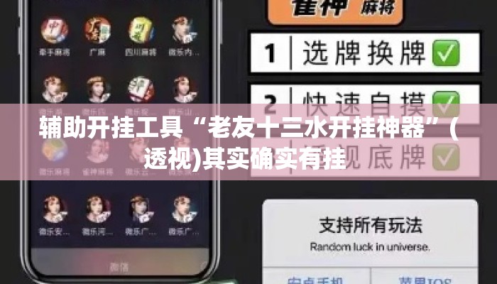 辅助开挂工具“老友十三水开挂神器	”(透视)其实确实有挂 