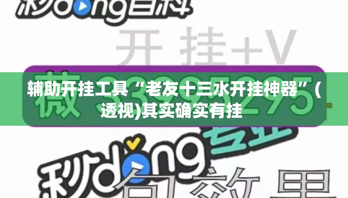 辅助开挂工具“老友十三水开挂神器”(透视)其实确实有挂 