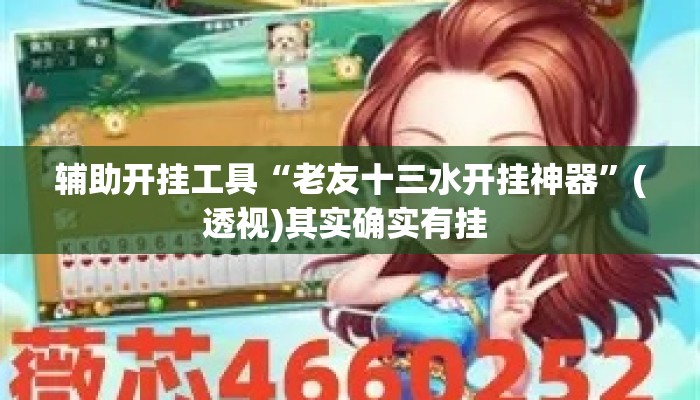 辅助开挂工具“老友十三水开挂神器”(透视)其实确实有挂 