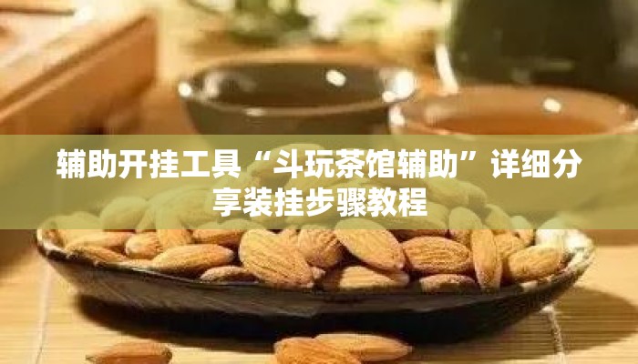 辅助开挂工具“斗玩茶馆辅助”详细分享装挂步骤教程