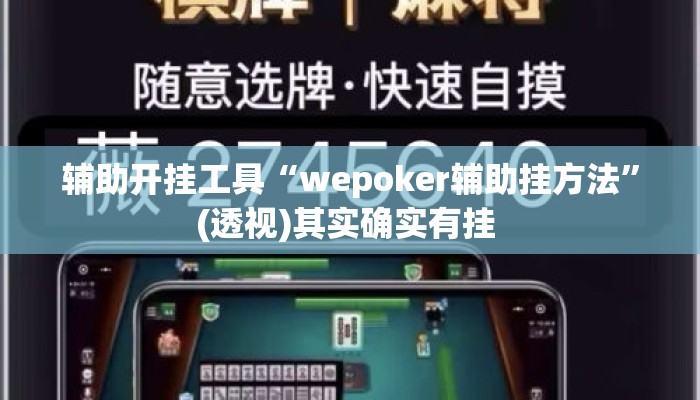辅助开挂工具“wepoker辅助挂方法	”(透视)其实确实有挂 