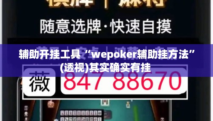 辅助开挂工具“wepoker辅助挂方法	”(透视)其实确实有挂 