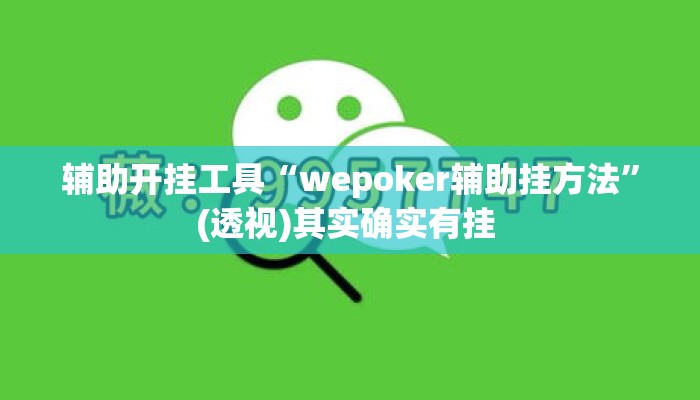 辅助开挂工具“wepoker辅助挂方法”(透视)其实确实有挂 