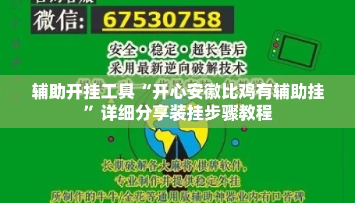 辅助开挂工具“开心安徽比鸡有辅助挂”详细分享装挂步骤教程