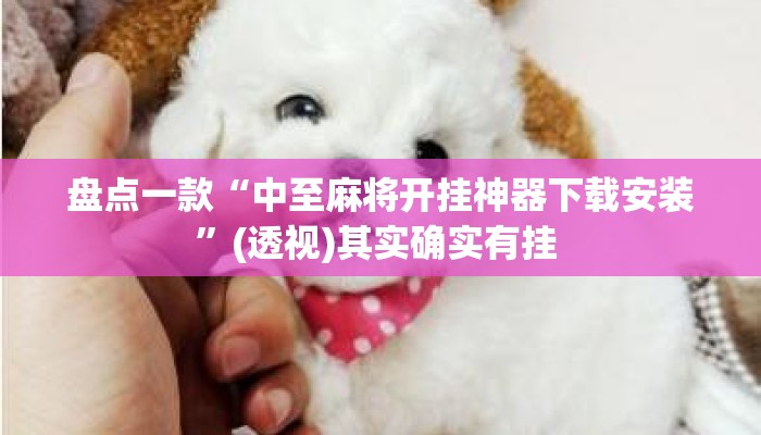 盘点一款“中至麻将开挂神器下载安装”(透视)其实确实有挂 