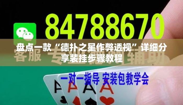 盘点一款“德扑之星作弊透视”详细分享装挂步骤教程