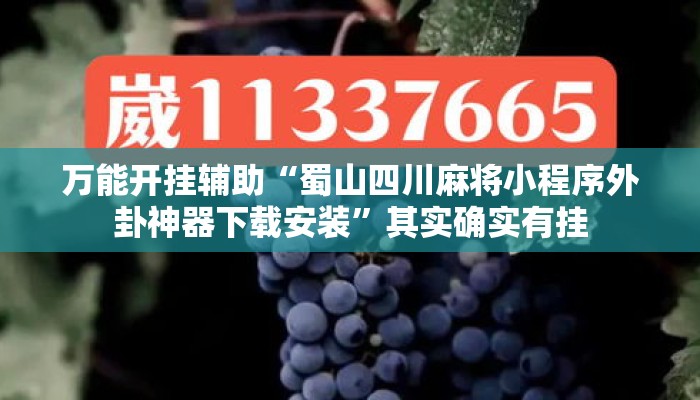 万能开挂辅助“蜀山四川麻将小程序外卦神器下载安装”其实确实有挂