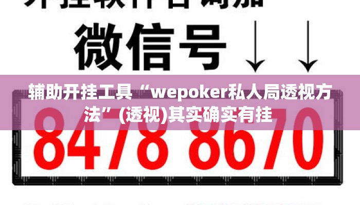辅助开挂工具“wepoker私人局透视方法	”(透视)其实确实有挂 