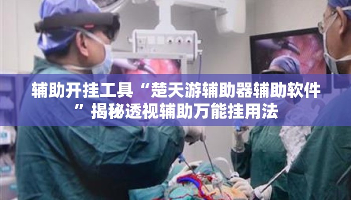 辅助开挂工具“楚天游辅助器辅助软件”揭秘透视辅助万能挂用法