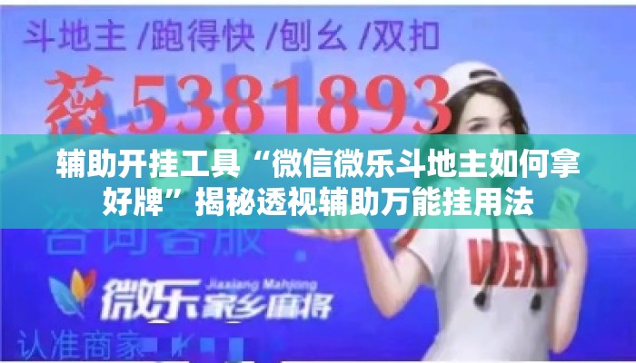 辅助开挂工具“微信微乐斗地主如何拿好牌	”揭秘透视辅助万能挂用法