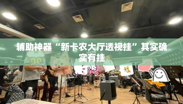 辅助神器“新卡农大厅透视挂”其实确实有挂