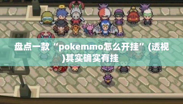 盘点一款“pokemmo怎么开挂”(透视)其实确实有挂 