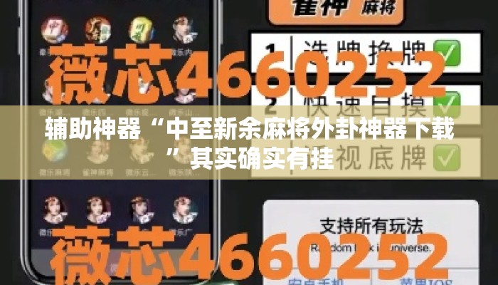 辅助神器“中至新余麻将外卦神器下载	”其实确实有挂