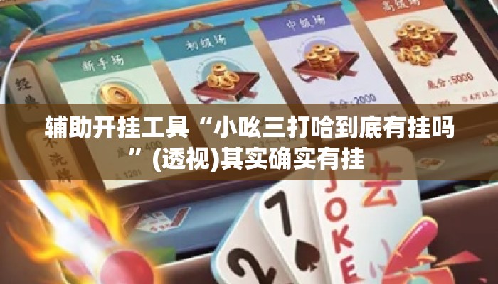 辅助开挂工具“小吆三打哈到底有挂吗”(透视)其实确实有挂 