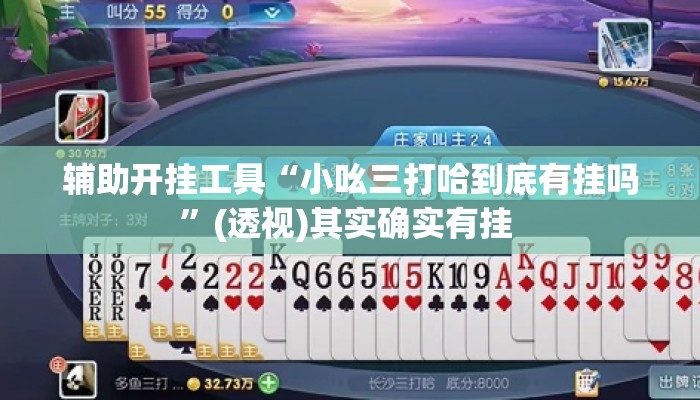 辅助开挂工具“小吆三打哈到底有挂吗”(透视)其实确实有挂 