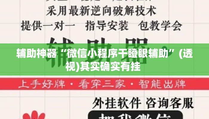 辅助神器“微信小程序干瞪眼辅助”(透视)其实确实有挂 