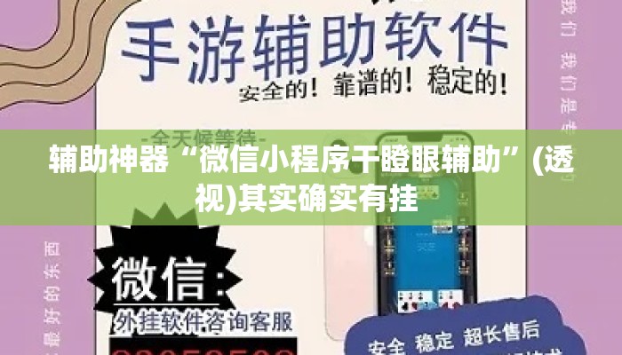 辅助神器“微信小程序干瞪眼辅助	”(透视)其实确实有挂 
