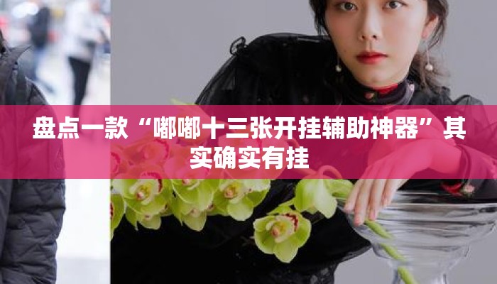 盘点一款“嘟嘟十三张开挂辅助神器	”其实确实有挂