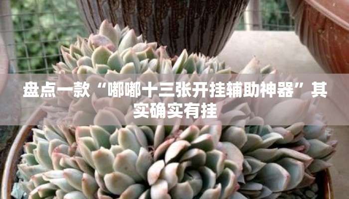 盘点一款“嘟嘟十三张开挂辅助神器”其实确实有挂