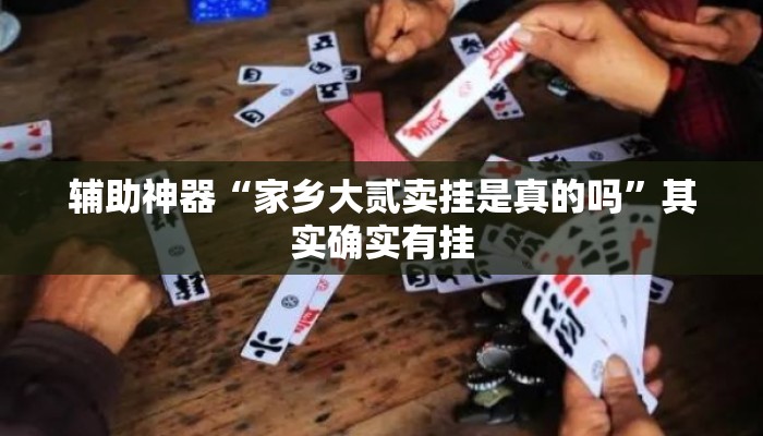 辅助神器“家乡大贰卖挂是真的吗”其实确实有挂