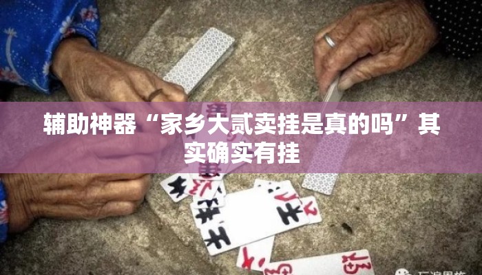 辅助神器“家乡大贰卖挂是真的吗”其实确实有挂