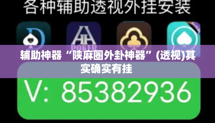 辅助神器“陕麻圈外卦神器”(透视)其实确实有挂 