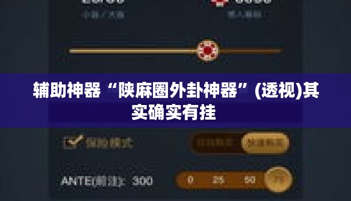 辅助神器“陕麻圈外卦神器	”(透视)其实确实有挂 