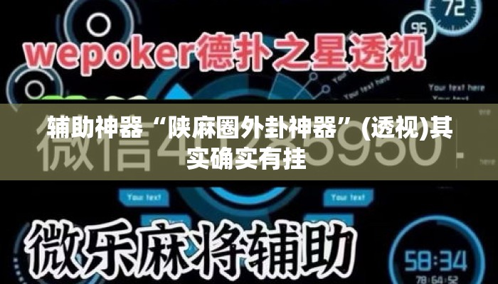 辅助神器“陕麻圈外卦神器”(透视)其实确实有挂 