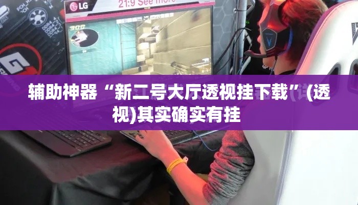 辅助神器“新二号大厅透视挂下载”(透视)其实确实有挂 
