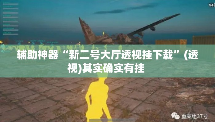 辅助神器“新二号大厅透视挂下载”(透视)其实确实有挂 