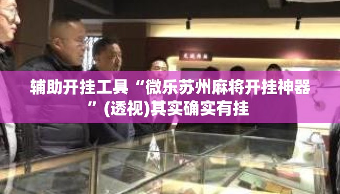 辅助开挂工具“微乐苏州麻将开挂神器”(透视)其实确实有挂 