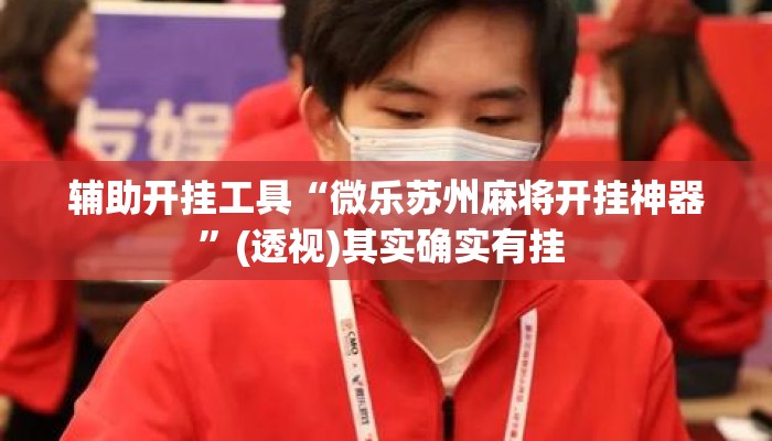 辅助开挂工具“微乐苏州麻将开挂神器”(透视)其实确实有挂 