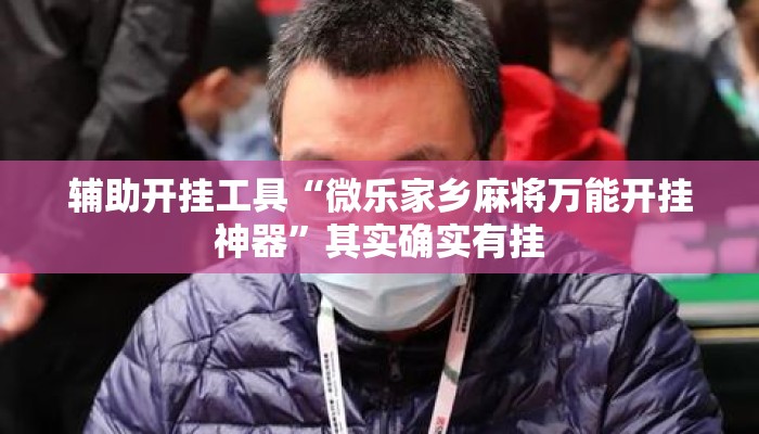 辅助开挂工具“微乐家乡麻将万能开挂神器”其实确实有挂