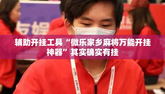 辅助开挂工具“微乐家乡麻将万能开挂神器”其实确实有挂