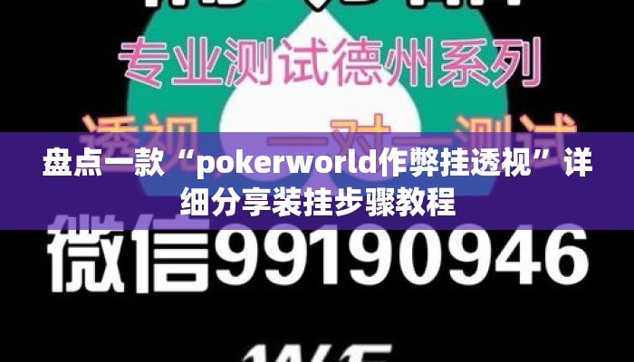 盘点一款“pokerworld作弊挂透视”详细分享装挂步骤教程