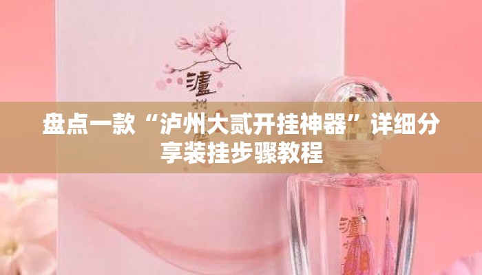 盘点一款“泸州大贰开挂神器	”详细分享装挂步骤教程